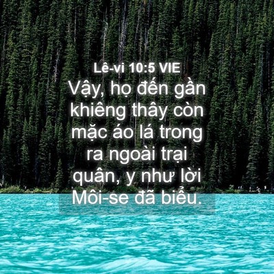 Picture 04 - Lê-vi 10:5 VIE - Vậy, họ đến gần khiêng thây còn mặc - Bible Verse Picture