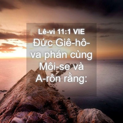 Picture 04 - Lê-vi 11:1 VIE - Đức Giê-hô-va phán cùng Môi-se và A-rôn - Bible Verse Picture