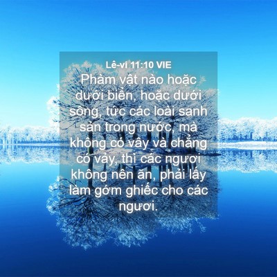 Picture 04 - Lê-vi 11:10 VIE - Phàm vật nào hoặc dưới biển, hoặc - Bible Verse Picture