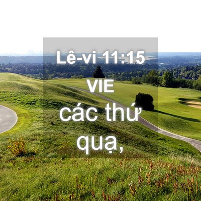 Picture 04 - Lê-vi 11:15 VIE - các thứ - Bible Verse Picture