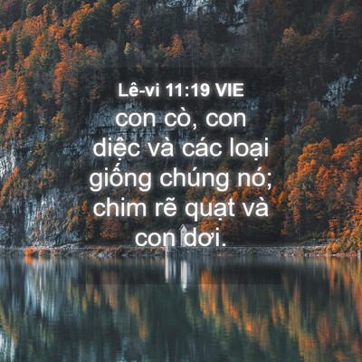 Picture 04 - Lê-vi 11:19 VIE - con cò, con diệc và các loại giống - Bible Verse Picture