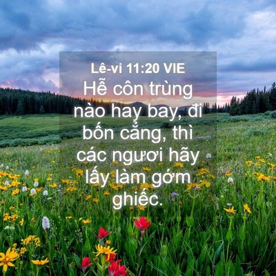 Picture 04 - Lê-vi 11:20 VIE - Hễ côn trùng nào hay bay, đi bốn cẳng, - Bible Verse Picture
