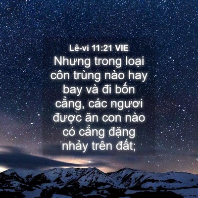 Picture 04 - Lê-vi 11:21 VIE - Nhưng trong loại côn trùng nào hay bay và - Bible Verse Picture