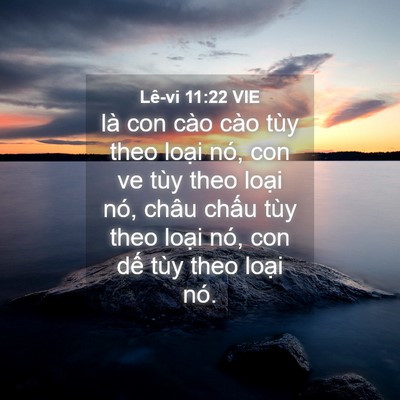 Picture 04 - Lê-vi 11:22 VIE - là con cào cào tùy theo loại nó, con ve - Bible Verse Picture