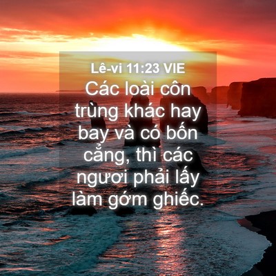 Picture 04 - Lê-vi 11:23 VIE - Các loài côn trùng khác hay bay và có - Bible Verse Picture