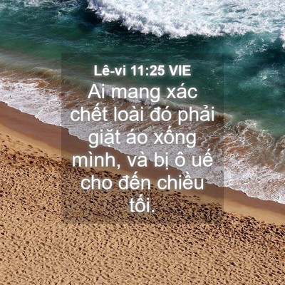 Picture 04 - Lê-vi 11:25 VIE - Ai mang xác chết loài đó phải giặt áo - Bible Verse Picture