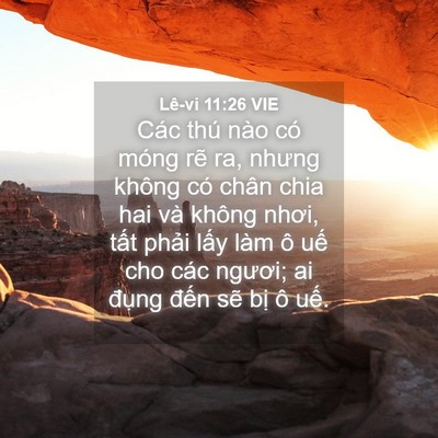 Picture 04 - Lê-vi 11:26 VIE - Các thú nào có móng rẽ ra, nhưng không - Bible Verse Picture