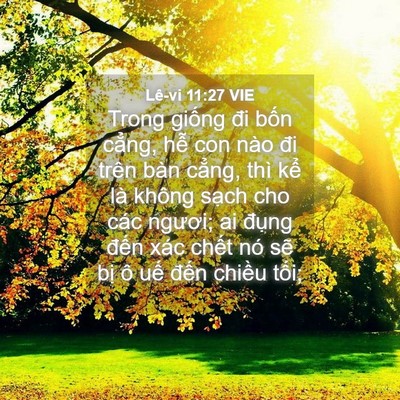 Picture 04 - Lê-vi 11:27 VIE - Trong giống đi bốn cẳng, hễ con nào đi - Bible Verse Picture