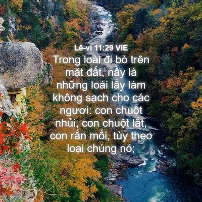 Picture 04 - Lê-vi 11:29 VIE - Trong loài đi bò trên mặt đất, nầy là - Bible Verse Picture