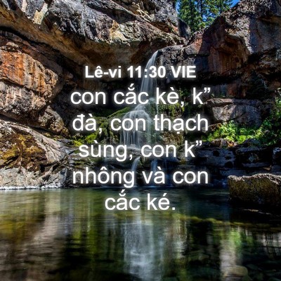 Picture 04 - Lê-vi 11:30 VIE - con cắc kè, k” đà, con thạch sùng, con - Bible Verse Picture
