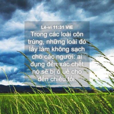 Picture 04 - Lê-vi 11:31 VIE - Trong các loài côn trùng, những loài đó - Bible Verse Picture
