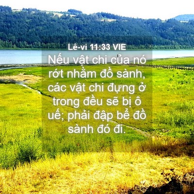 Picture 04 - Lê-vi 11:33 VIE - Nếu vật chi của nó rớt nhằm đồ - Bible Verse Picture