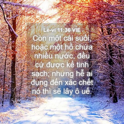 Picture 04 - Lê-vi 11:36 VIE - Còn một cái suối, hoặc một hồ chứa - Bible Verse Picture