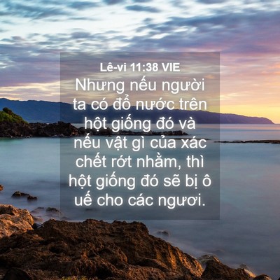 Picture 04 - Lê-vi 11:38 VIE - Nhưng nếu người ta có đổ nước trên - Bible Verse Picture