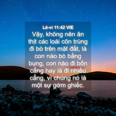Picture 04 - Lê-vi 11:42 VIE - Vậy, không nên ăn thịt các loài côn - Bible Verse Picture