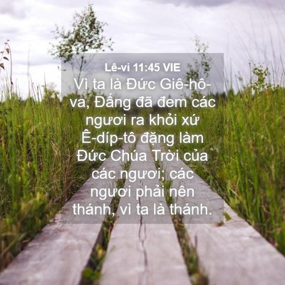 Picture 04 - Lê-vi 11:45 VIE - Vì ta là Đức Giê-hô-va, Đấng đã đem - Bible Verse Picture