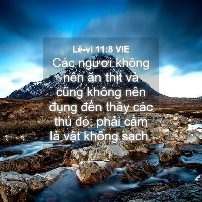Picture 04 - Lê-vi 11:8 VIE - Các ngươi không nên ăn thịt và cũng - Bible Verse Picture