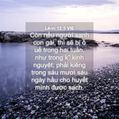 Picture 04 - Lê-vi 12:5 VIE - Còn nếu người sanh con gái, thì sẽ bị - Bible Verse Picture