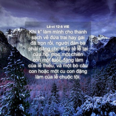 Picture 04 - Lê-vi 12:6 VIE - Khi k” làm mình cho thanh sạch về đứa - Bible Verse Picture