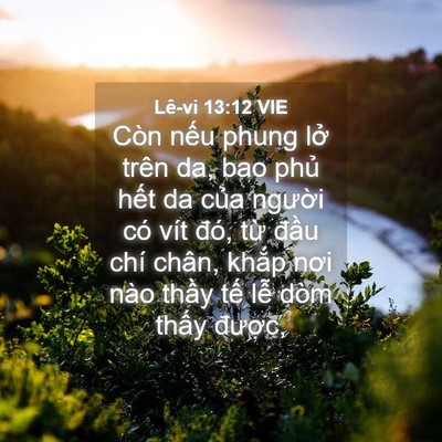Picture 04 - Lê-vi 13:12 VIE - Còn nếu phung lở trên da, bao phủ hết - Bible Verse Picture