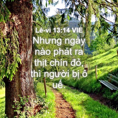 Picture 04 - Lê-vi 13:14 VIE - Nhưng ngày nào phát ra thịt chín đỏ, - Bible Verse Picture