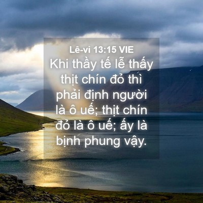 Picture 04 - Lê-vi 13:15 VIE - Khi thầy tế lễ thấy thịt chín đỏ - Bible Verse Picture
