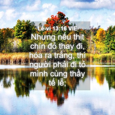 Picture 04 - Lê-vi 13:16 VIE - Nhưng nếu thịt chín đỏ thay đi, hóa ra - Bible Verse Picture