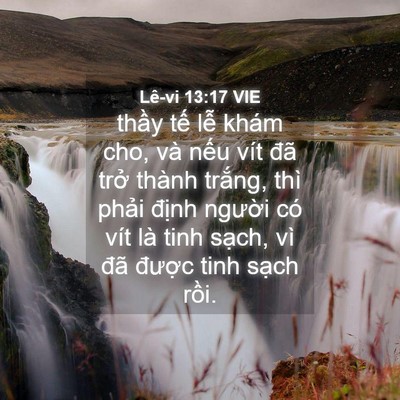 Picture 04 - Lê-vi 13:17 VIE - thầy tế lễ khám cho, và nếu vít đã - Bible Verse Picture