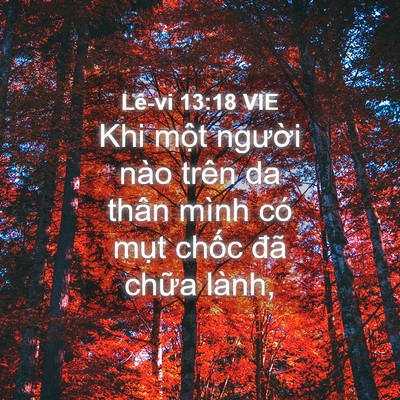 Picture 04 - Lê-vi 13:18 VIE - Khi một người nào trên da thân mình có - Bible Verse Picture