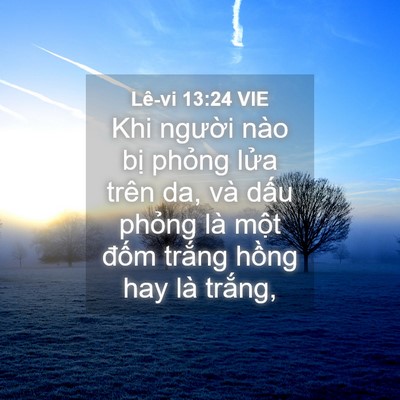 Picture 04 - Lê-vi 13:24 VIE - Khi người nào bị phỏng lửa trên da, - Bible Verse Picture