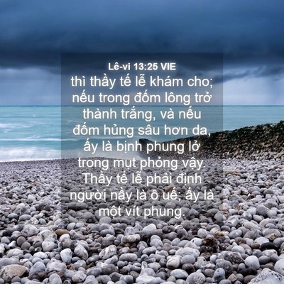 Picture 04 - Lê-vi 13:25 VIE - thì thầy tế lễ khám cho; nếu trong - Bible Verse Picture
