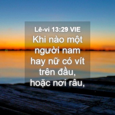 Picture 04 - Lê-vi 13:29 VIE - Khi nào một người nam hay nữ có vít - Bible Verse Picture