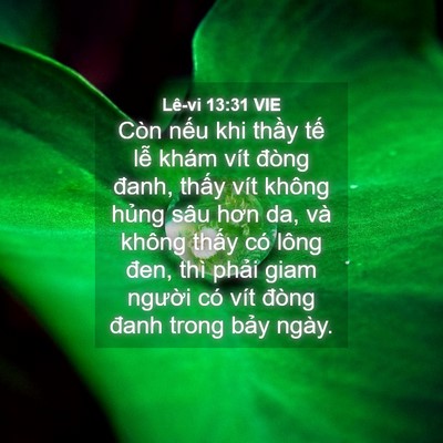 Picture 04 - Lê-vi 13:31 VIE - Còn nếu khi thầy tế lễ khám vít đòng - Bible Verse Picture
