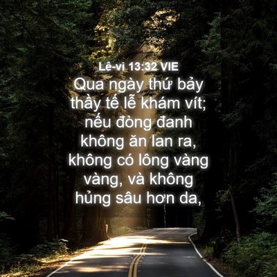 Picture 04 - Lê-vi 13:32 VIE - Qua ngày thứ bảy thầy tế lễ khám - Bible Verse Picture