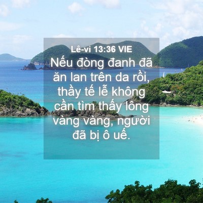 Picture 04 - Lê-vi 13:36 VIE - Nếu đòng đanh đã ăn lan trên da rồi, - Bible Verse Picture