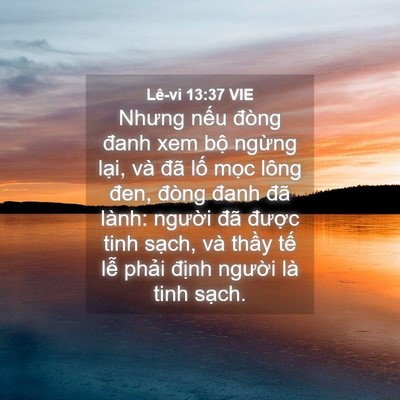 Picture 04 - Lê-vi 13:37 VIE - Nhưng nếu đòng đanh xem bộ ngừng lại, - Bible Verse Picture