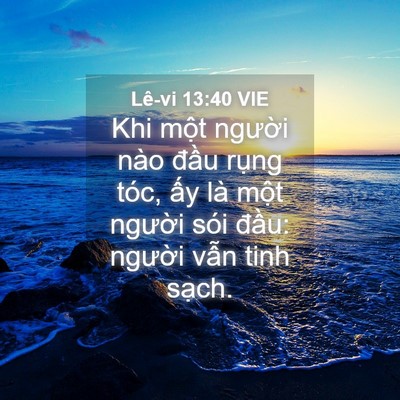 Picture 04 - Lê-vi 13:40 VIE - Khi một người nào đầu rụng tóc, ấy - Bible Verse Picture