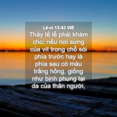Picture 04 - Lê-vi 13:43 VIE - Thầy tế lễ phải khám cho; nếu nơi - Bible Verse Picture