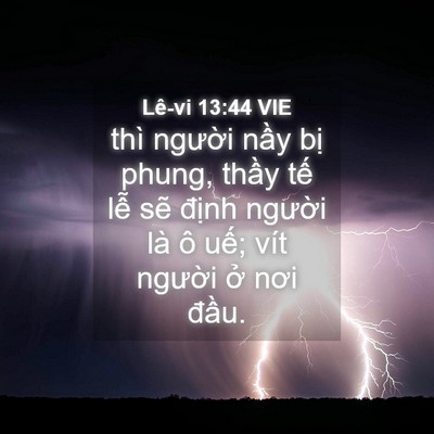 Picture 04 - Lê-vi 13:44 VIE - thì người nầy bị phung, thầy tế lễ - Bible Verse Picture