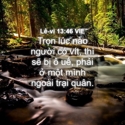 Picture 04 - Lê-vi 13:46 VIE - Trọn lúc nào người có vít, thì sẽ - Bible Verse Picture