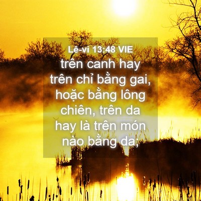 Picture 04 - Lê-vi 13:48 VIE - trên canh hay trên chỉ bằng gai, hoặc - Bible Verse Picture