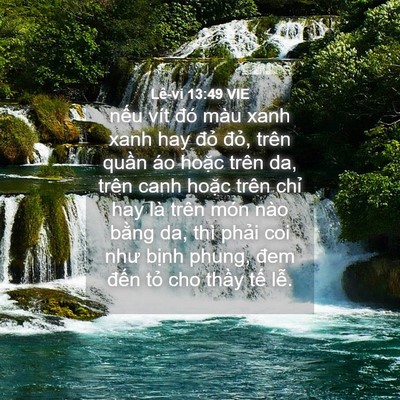 Picture 04 - Lê-vi 13:49 VIE - nếu vít đó màu xanh xanh hay đỏ đỏ, - Bible Verse Picture