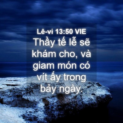 Picture 04 - Lê-vi 13:50 VIE - Thầy tế lễ sẽ khám cho, và giam món - Bible Verse Picture