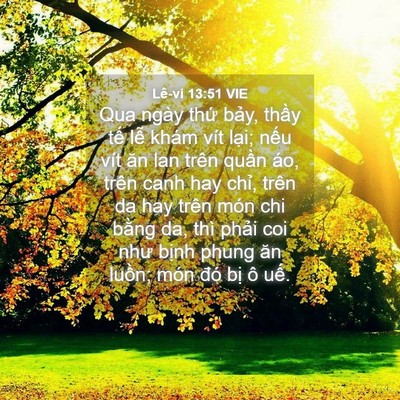 Picture 04 - Lê-vi 13:51 VIE - Qua ngày thứ bảy, thầy tế lễ khám - Bible Verse Picture