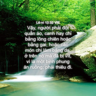 Picture 04 - Lê-vi 13:52 VIE - Vậy, người phải đốt quần áo, canh - Bible Verse Picture