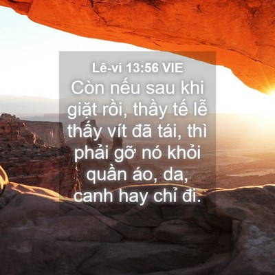 Picture 04 - Lê-vi 13:56 VIE - Còn nếu sau khi giặt rồi, thầy tế lễ - Bible Verse Picture