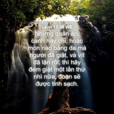 Picture 04 - Lê-vi 13:58 VIE - Nhưng quần áo, canh hay chỉ, hoặc món - Bible Verse Picture