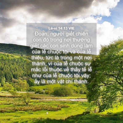Picture 04 - Lê-vi 14:13 VIE - Đoạn, người giết chiên con đó trong - Bible Verse Picture