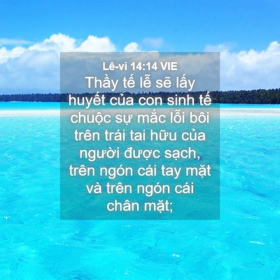 Picture 04 - Lê-vi 14:14 VIE - Thầy tế lễ sẽ lấy huyết của con - Bible Verse Picture