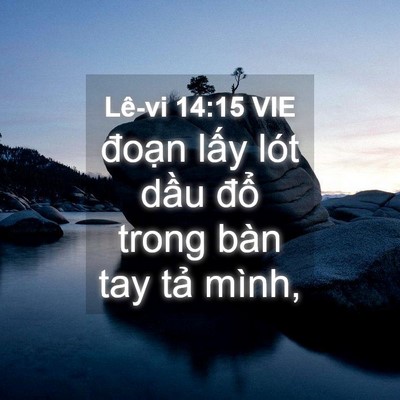 Picture 04 - Lê-vi 14:15 VIE - đoạn lấy lót dầu đổ trong bàn tay - Bible Verse Picture